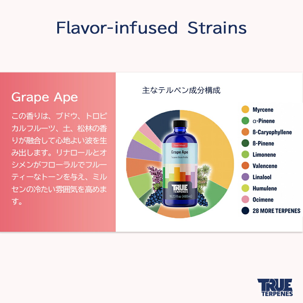 楽天市場】＼即日発送／ テルペン アメリカ TRUE TERPENES