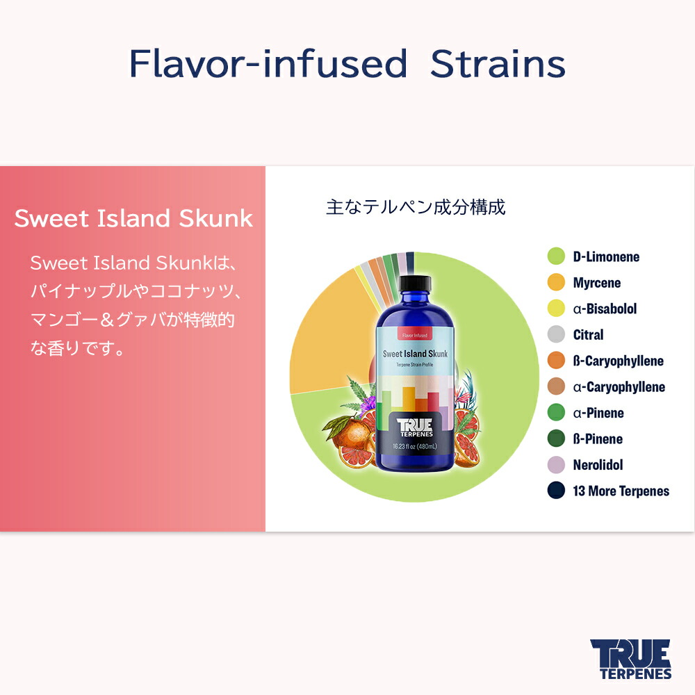 楽天市場】＼即日発送／ テルペン アメリカ TRUE TERPENES