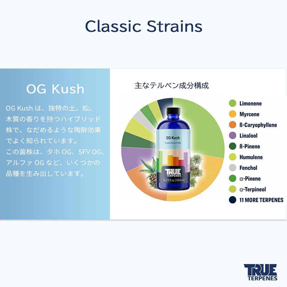 楽天市場】＼即日発送／ テルペン アメリカ TRUE TERPENES