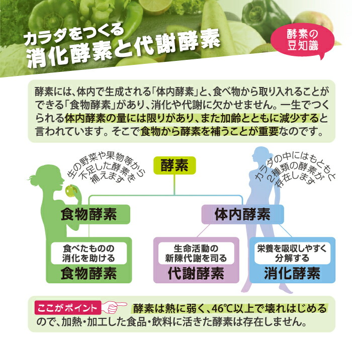 楽天市場】【BE-MAX正規販売店】 BE-MAX RAWFOOD60 cacao（ビー