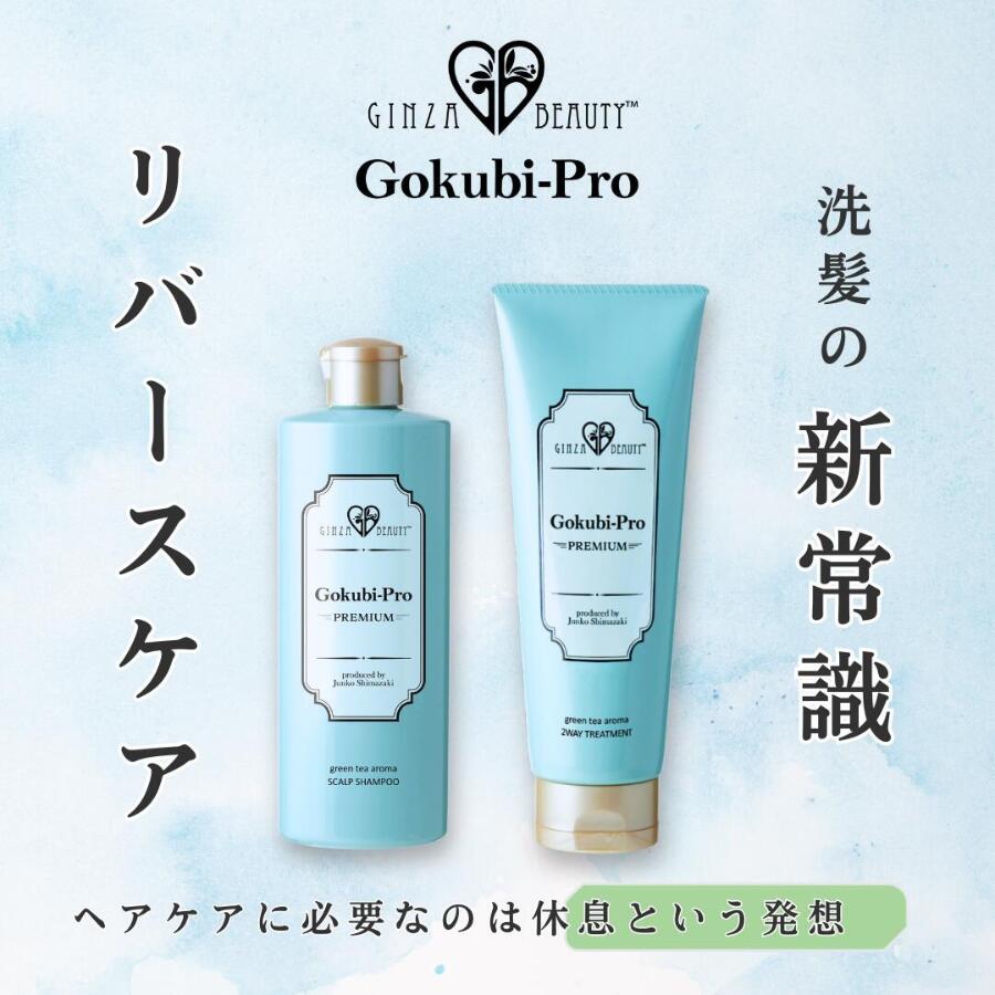 楽天市場】ゴクビプロ PREMIUM スカルプケア セット シャンプー2個