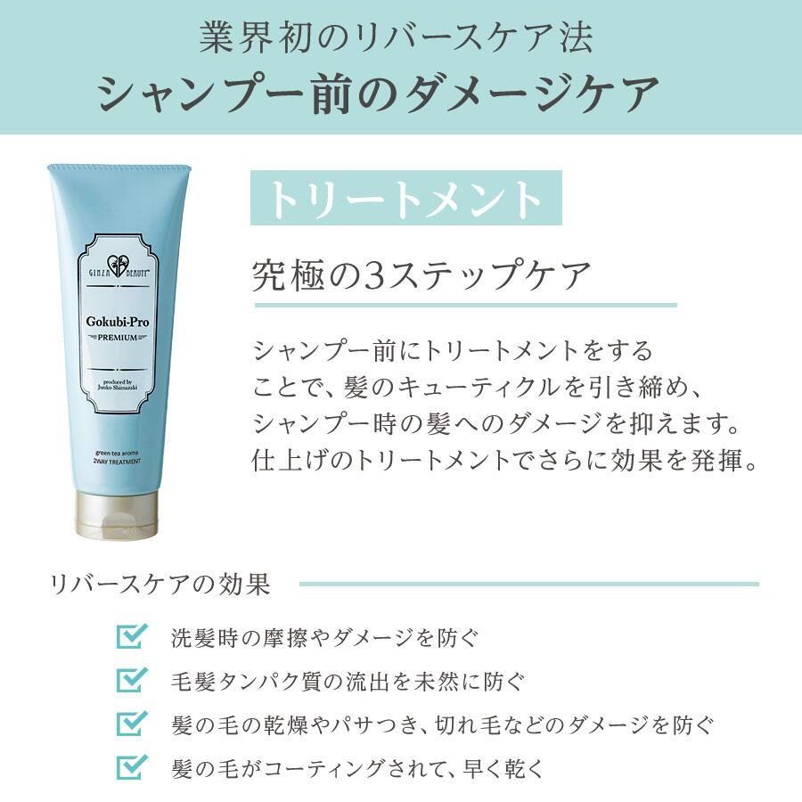 楽天市場】ゴクビプロ PREMIUM スカルプケア セット シャンプー2個