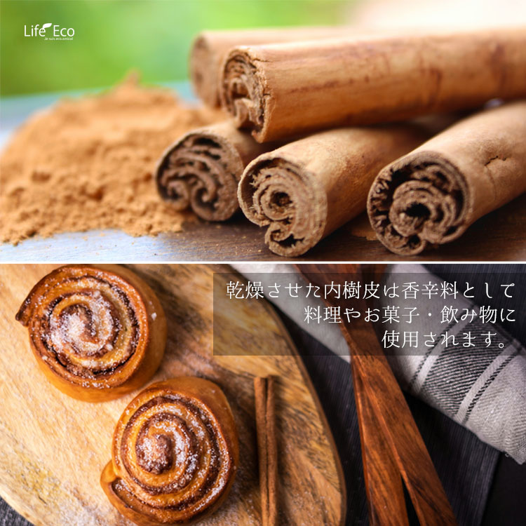 楽天市場】観葉植物 大型 シナモン（セイロンニッケイ） / 10寸・約