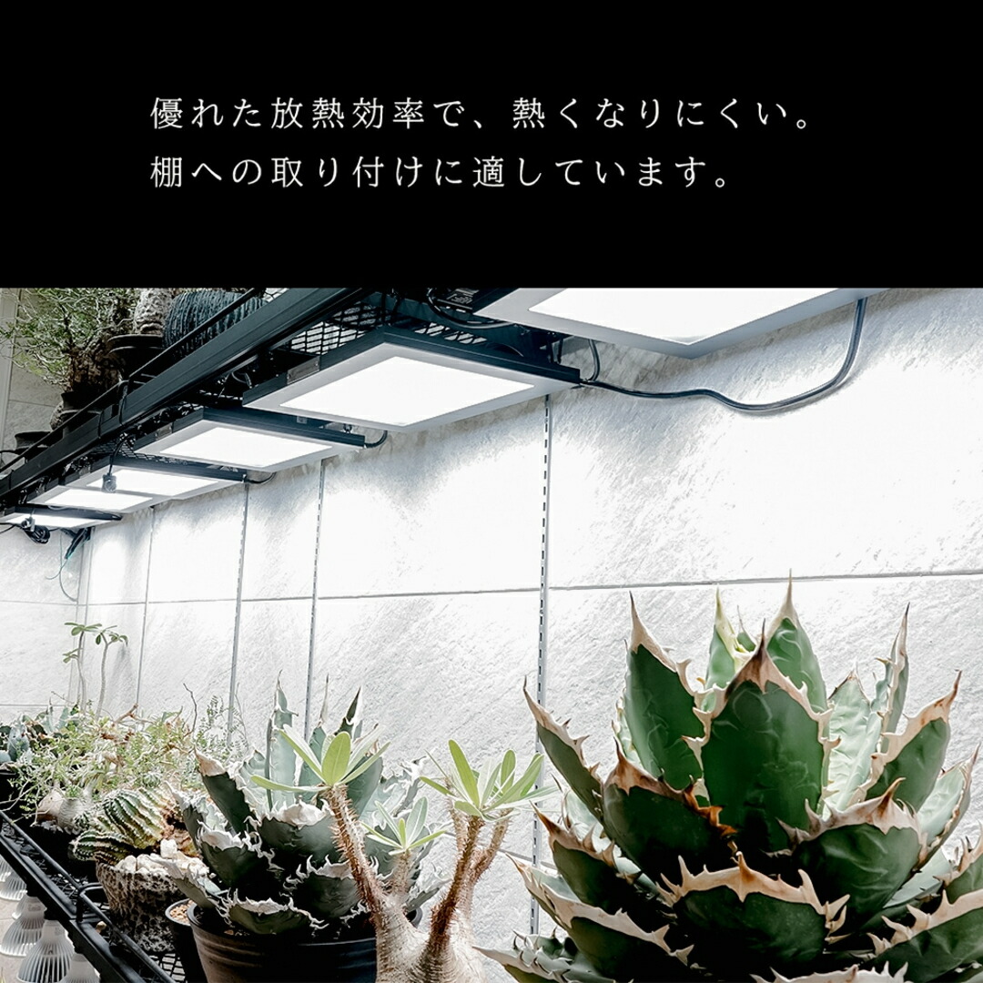 楽天市場】ROKI350 植物育成用ライト パネルライト ROKI ロキ 植物育成