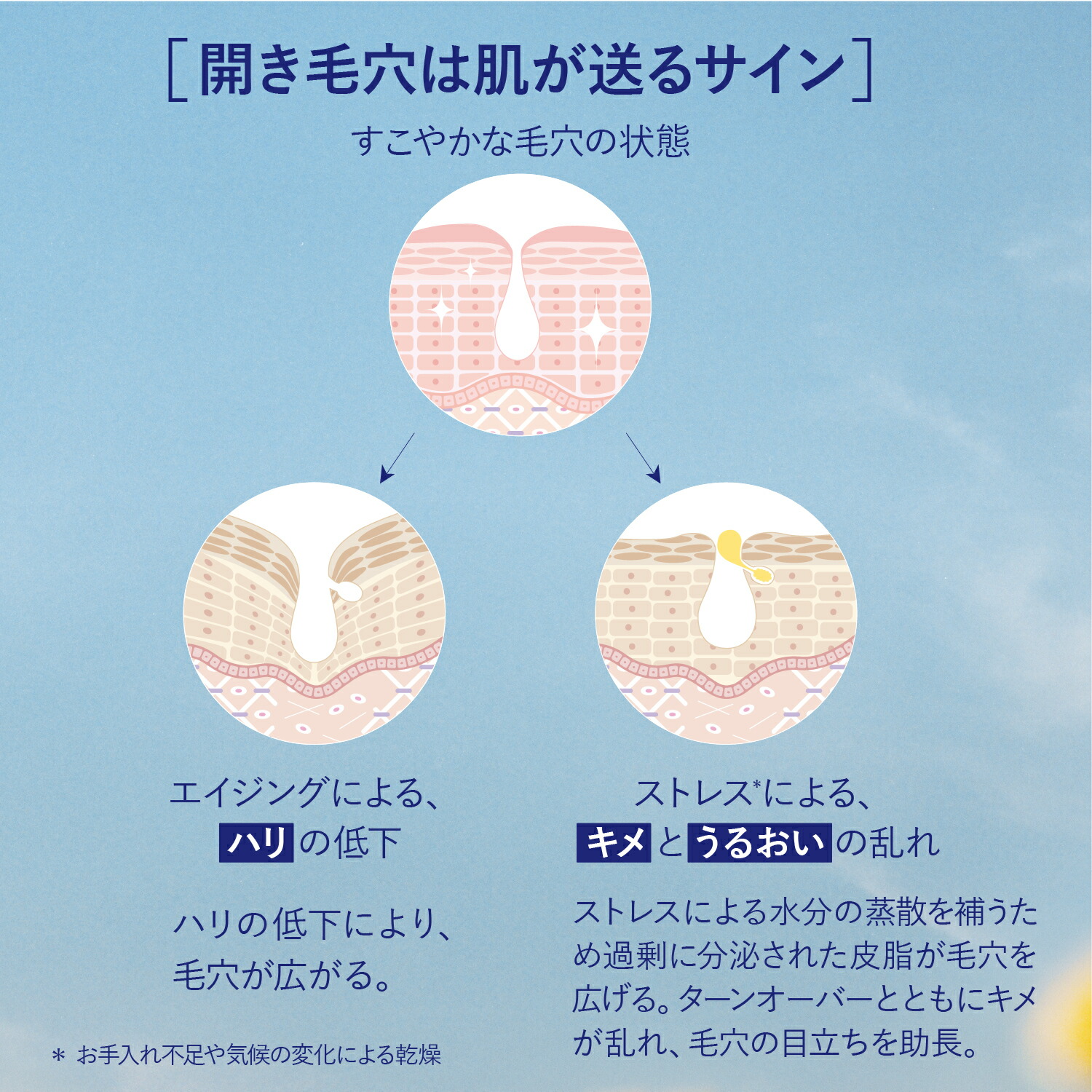 楽天市場】【公式】ロクシタン L'OCCITANE イモーテル プレシューズ