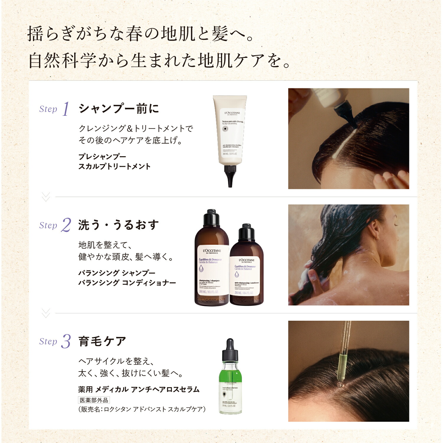 楽天市場】【公式】ロクシタン L'OCCITANE バランシング トライアル