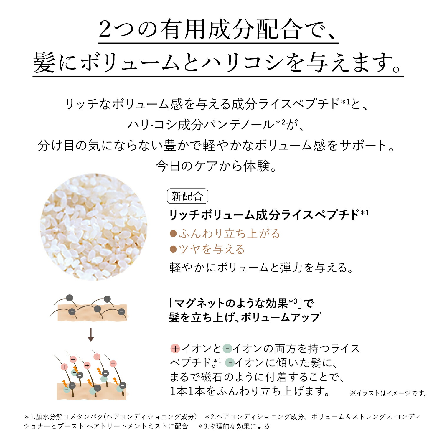 楽天市場】【公式】ロクシタン L'OCCITANE ボリューム＆ストレングス