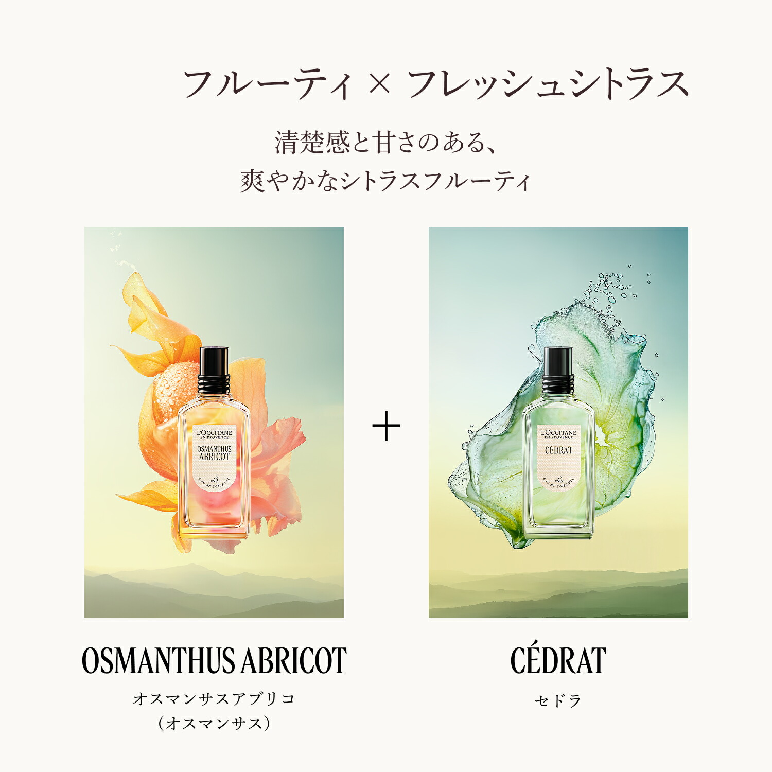 楽天市場】【公式】ロクシタン L'OCCITANE オスマンサスアブリコ