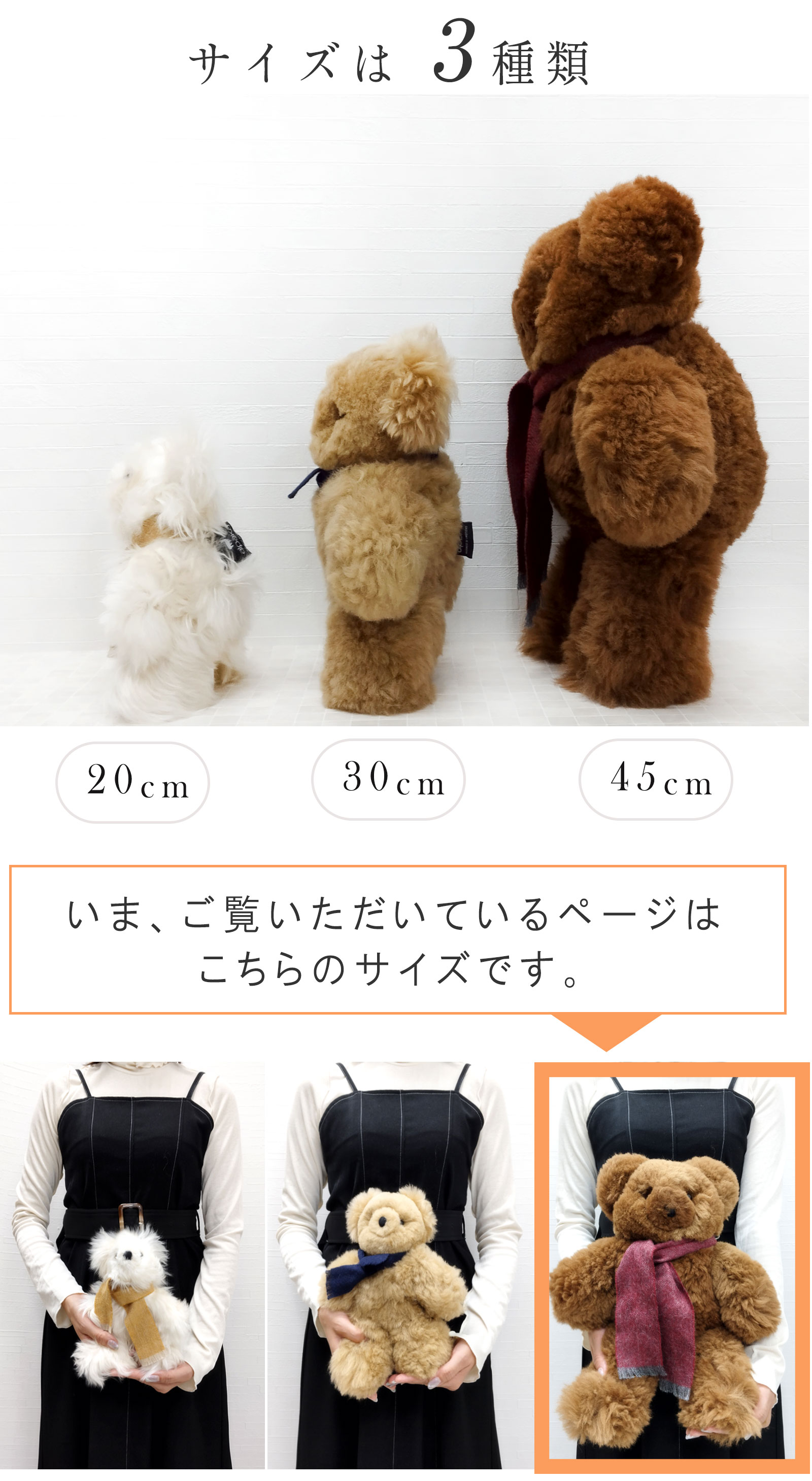 楽天市場】テディベア ぬいぐるみ ブランド 大きい かわいい