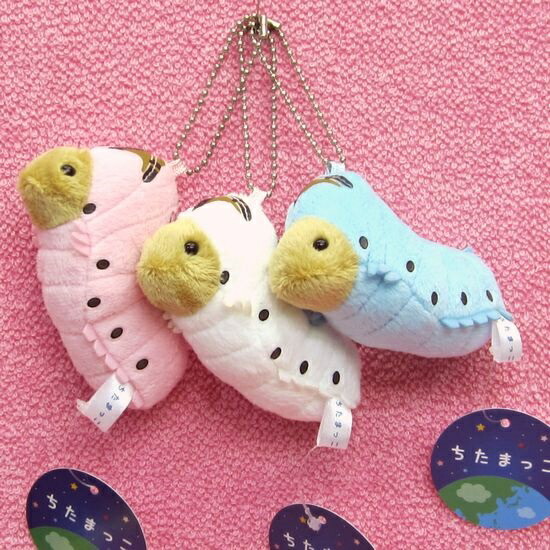 楽天市場】ちたまっこ カイコ キーホルダー かいこ/蚕 サイズ:9cm キー