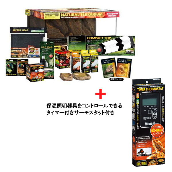 楽天市場】沖縄県は送料別途【フトアゴヒゲトカゲリクガメ飼育セット＋