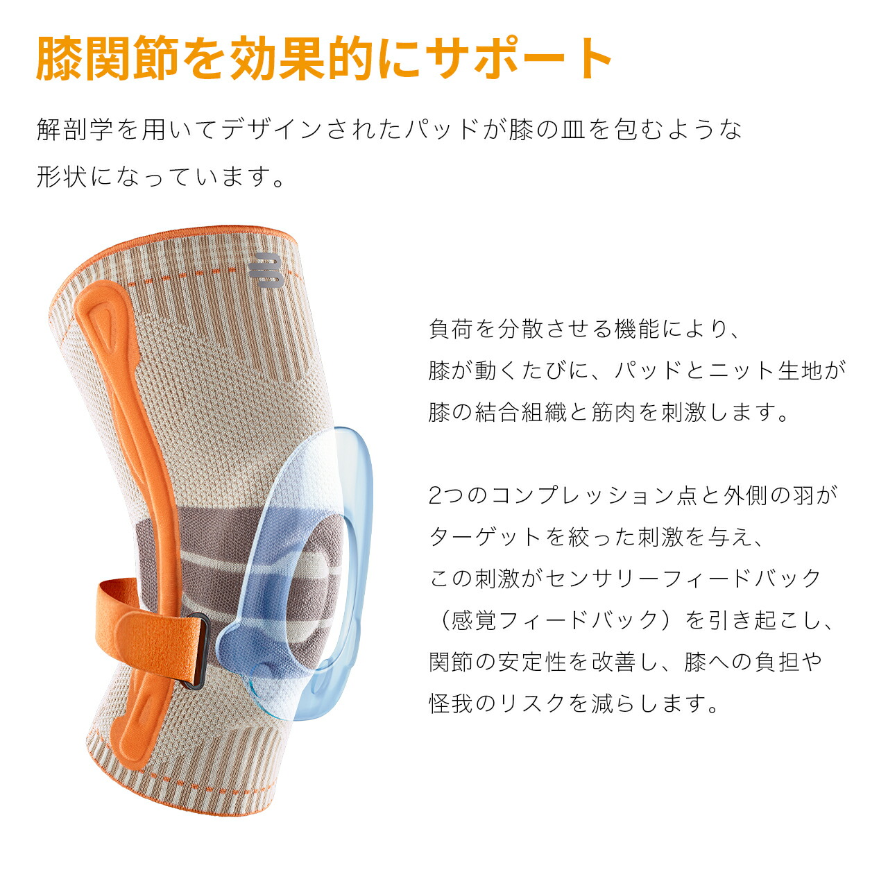 楽天市場】公式【BAUERFEIND】 バウアーファインド 膝用スポーツ