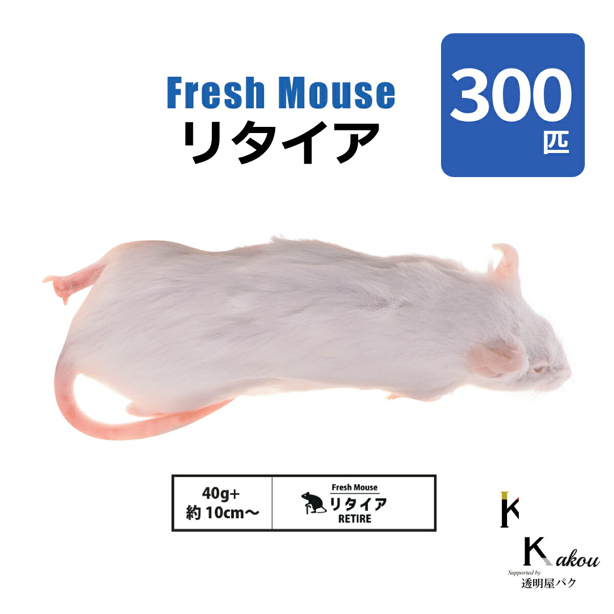 楽天市場】「リタイア 300匹(30袋) Biokimia 」 約10cm 40g+ 冷凍