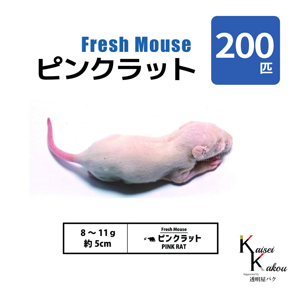 楽天市場】冷凍 ピンクラットの通販