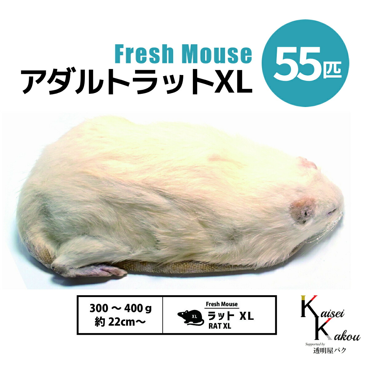 楽天市場】「アダルトラットXL 55匹 Biokimia 」 約22cm〜 300〜400g