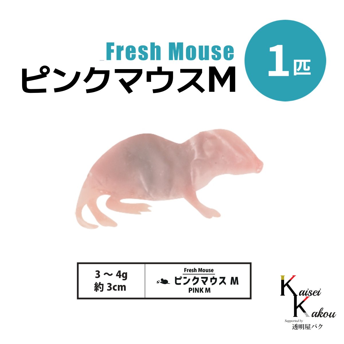 楽天市場】冷凍マウス ピンクの通販