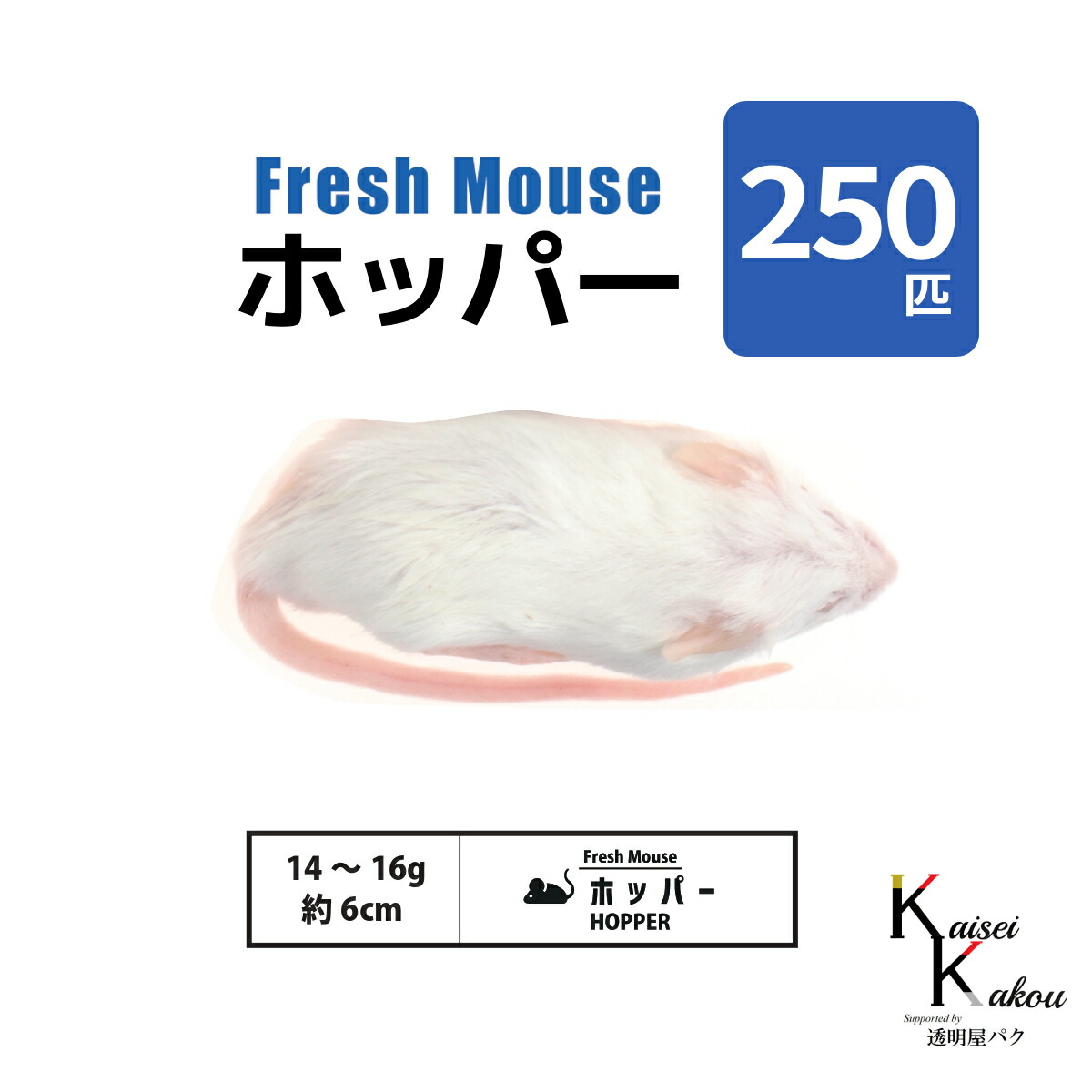 楽天市場】「マウス 250匹 選べる種類 Biokimia 」 冷凍マウス 冷凍