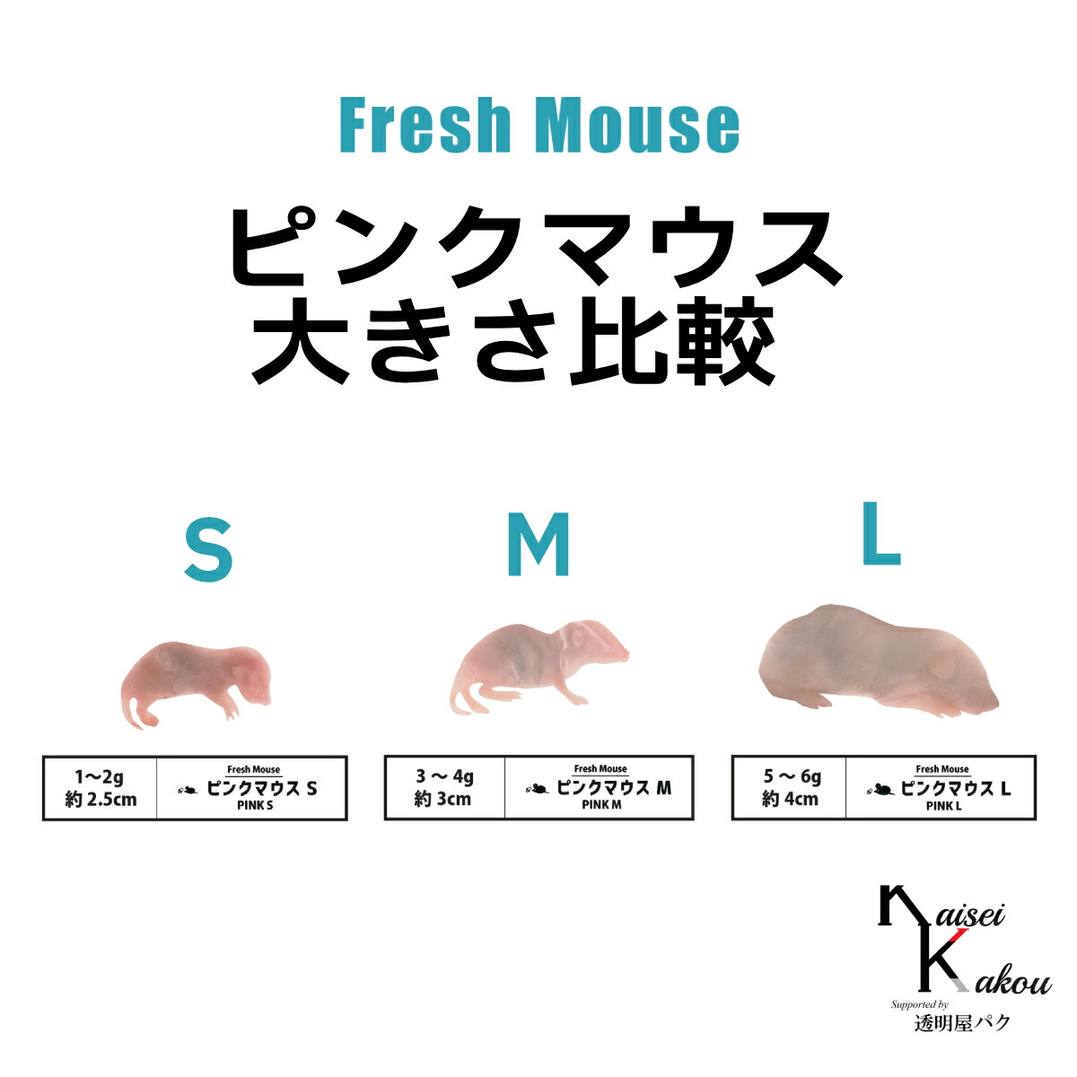 楽天市場】「ピンクマウスS 70匹(7袋) Biokimia 」 約2.5cm 1~2g 冷凍
