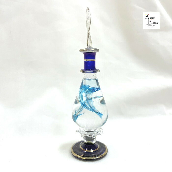 楽天市場】「透明標本 クレオパトラ透明標本 シロウオ」 お部屋の