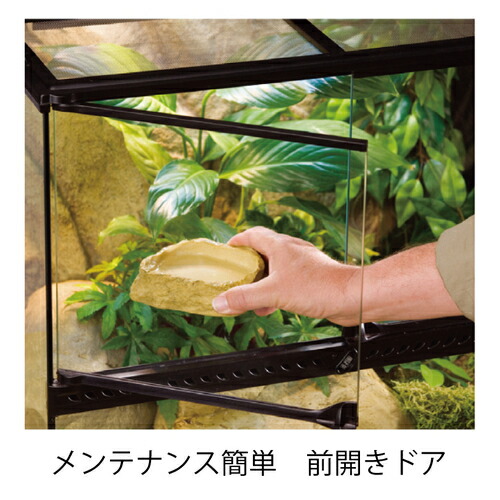 楽天市場】○【エキゾテラ】グラステラリウム ナノ EXOTERRA【ケージ