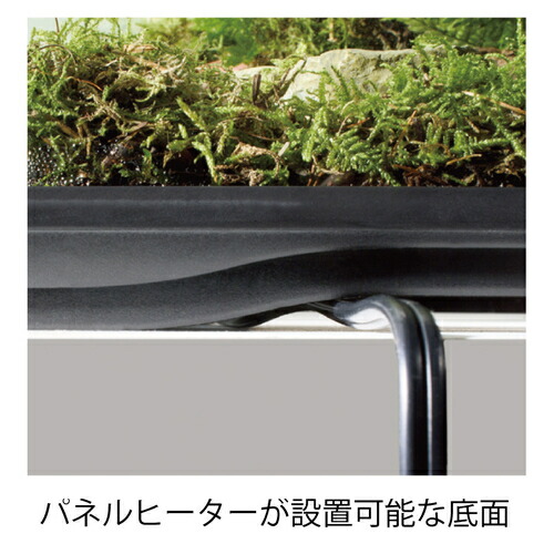 楽天市場】○【エキゾテラ】グラステラリウム 6060 EXOTERRA【ケージ