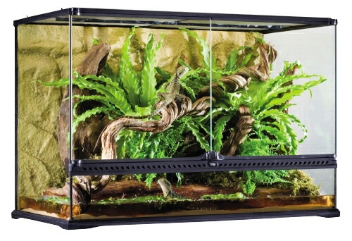 楽天市場】○【エキゾテラ】グラステラリウム 9060 EXOTERRA【ケージ