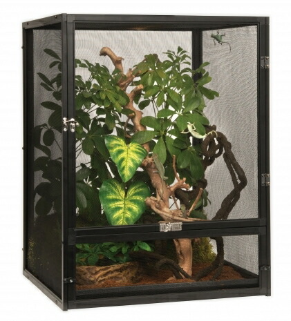 楽天市場】□【エキゾテラ】スクリーンテラリウム 4560 EXOTERRA