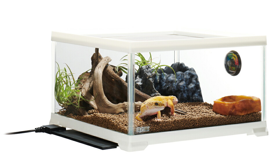 爬虫類 飼育ゲージ まとめ売り exo terra repti zoo 爬虫類 飼育ゲージ