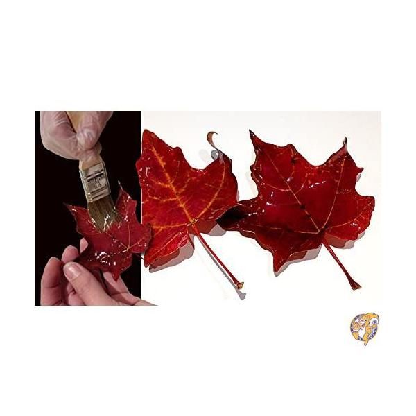 楽天市場】Smooth-On XTC-3D 高性能3Dプリントコーティング - 24オンス