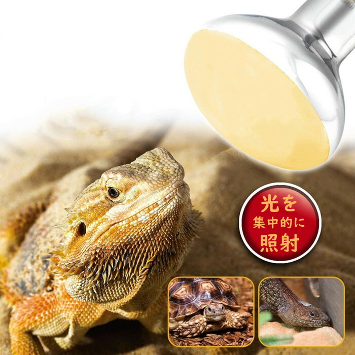 ト*ロ様 爬虫類、小動物用ケース＆ライト・ヒーターなど 900x45x46