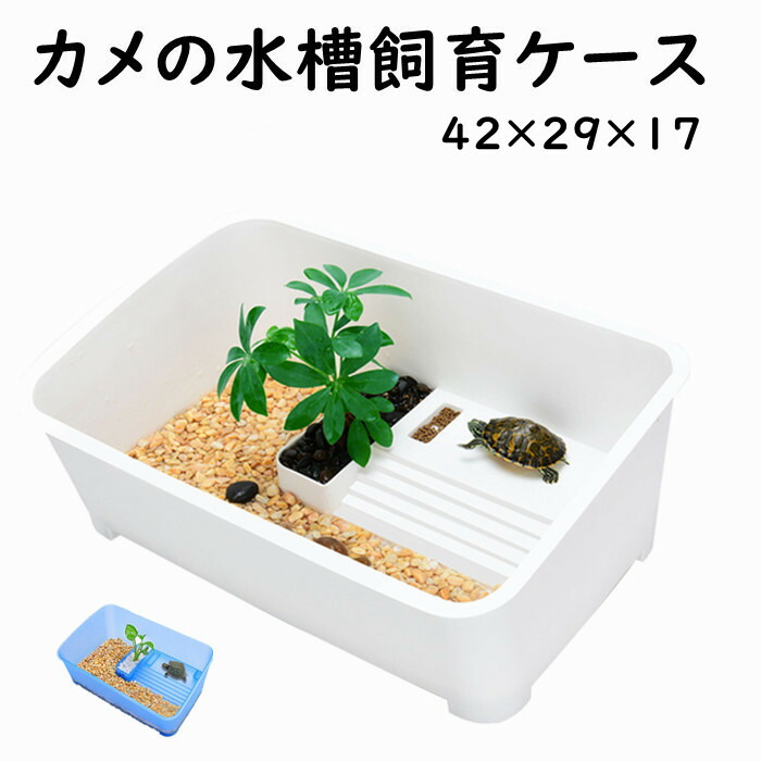 楽天市場】亀の水槽 カメ水槽 カメ飼育ケース カメさんのお家 亀水槽