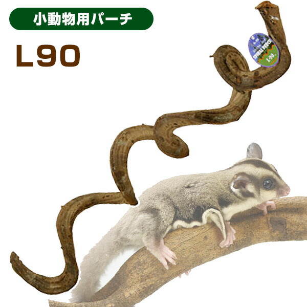 楽天市場】三晃商会 スパイラルパーチ L90（T1）リス フクロモモンガ