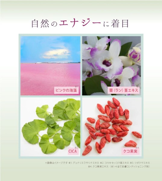 楽天市場】サイムダン プレミアム ステム モイスチャー パーフェクト