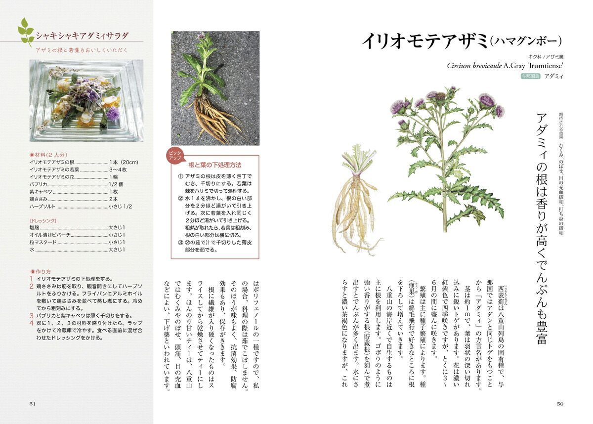 楽天市場】沖縄・八重山発 南の島のハーブ 嵩西洋子ボタニカルアート