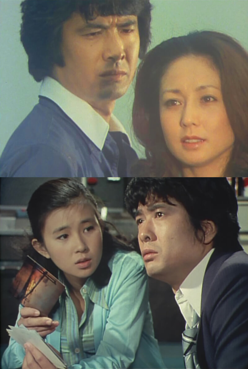 楽天市場】逢えるかも知れない コレクターズDVD 昭和の名作ライブ