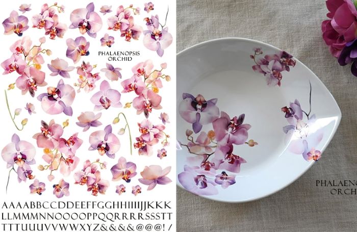 楽天市場】ポーセラーツ 転写紙 【白磁用】水彩ファレノプシス