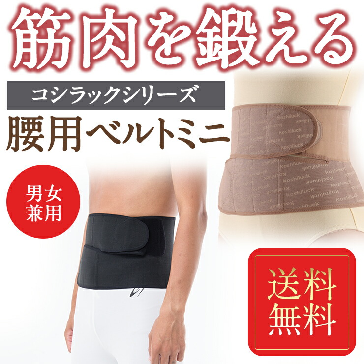 楽天市場】腰ベルト でぷにょ肉もスッキリ！ 臨床実験結果がある骨盤