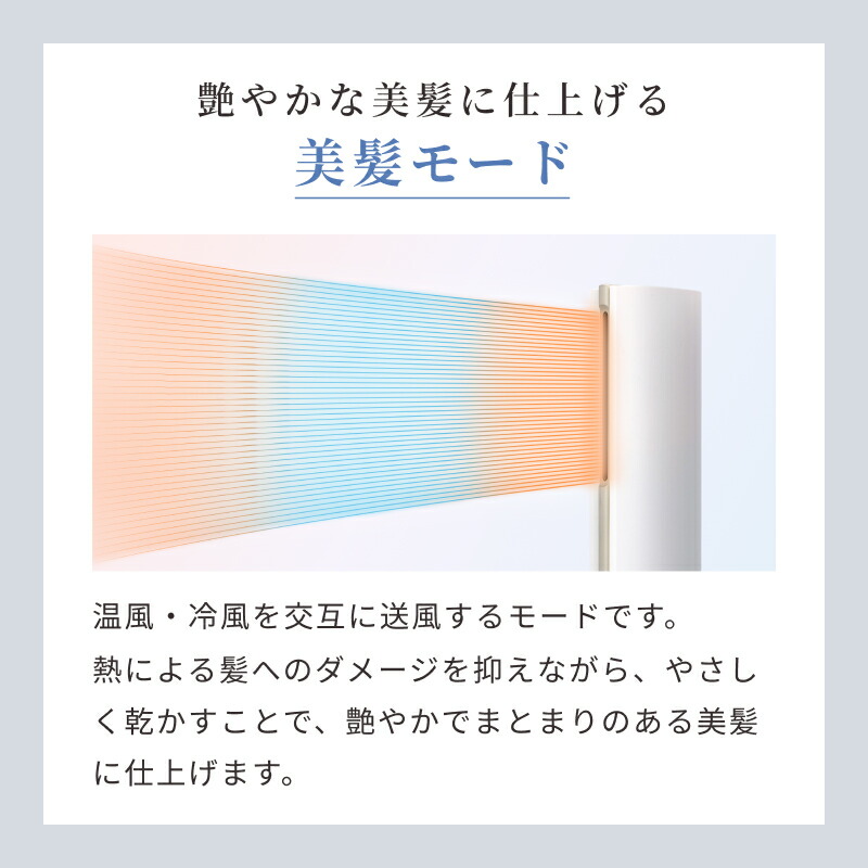 楽天市場】【BISARA公式】 ビサラ BISARA STICK スティックドライヤー