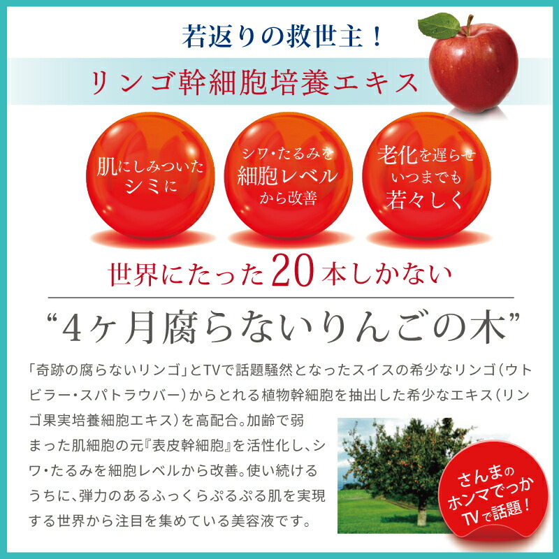 楽天市場】【期間限定スーパーSALE20％OFF】キューベルSTローション