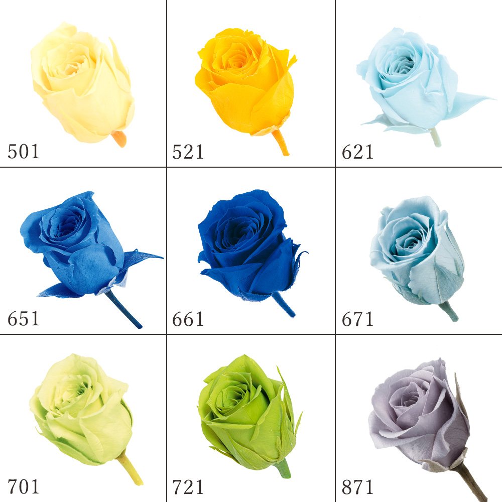 楽天市場】プリザーブドフラワー 花材 とりよせ品 ビビアン(1箱24輪