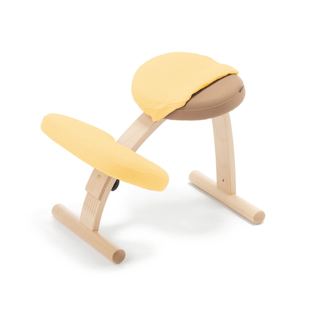 楽天市場】バランスチェア バランスイージー 撥水 カバー ドット