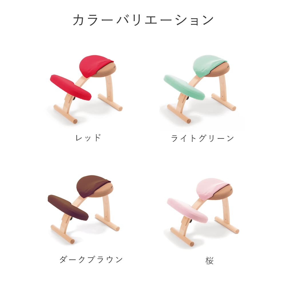 美品】sakamoto Balans Easy バランスチェア 専用カバー バランス