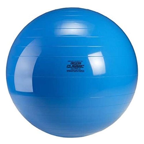 楽天市場】ギムニク (GYMNIC) ギムニク 65 バランスボール 65cm 青