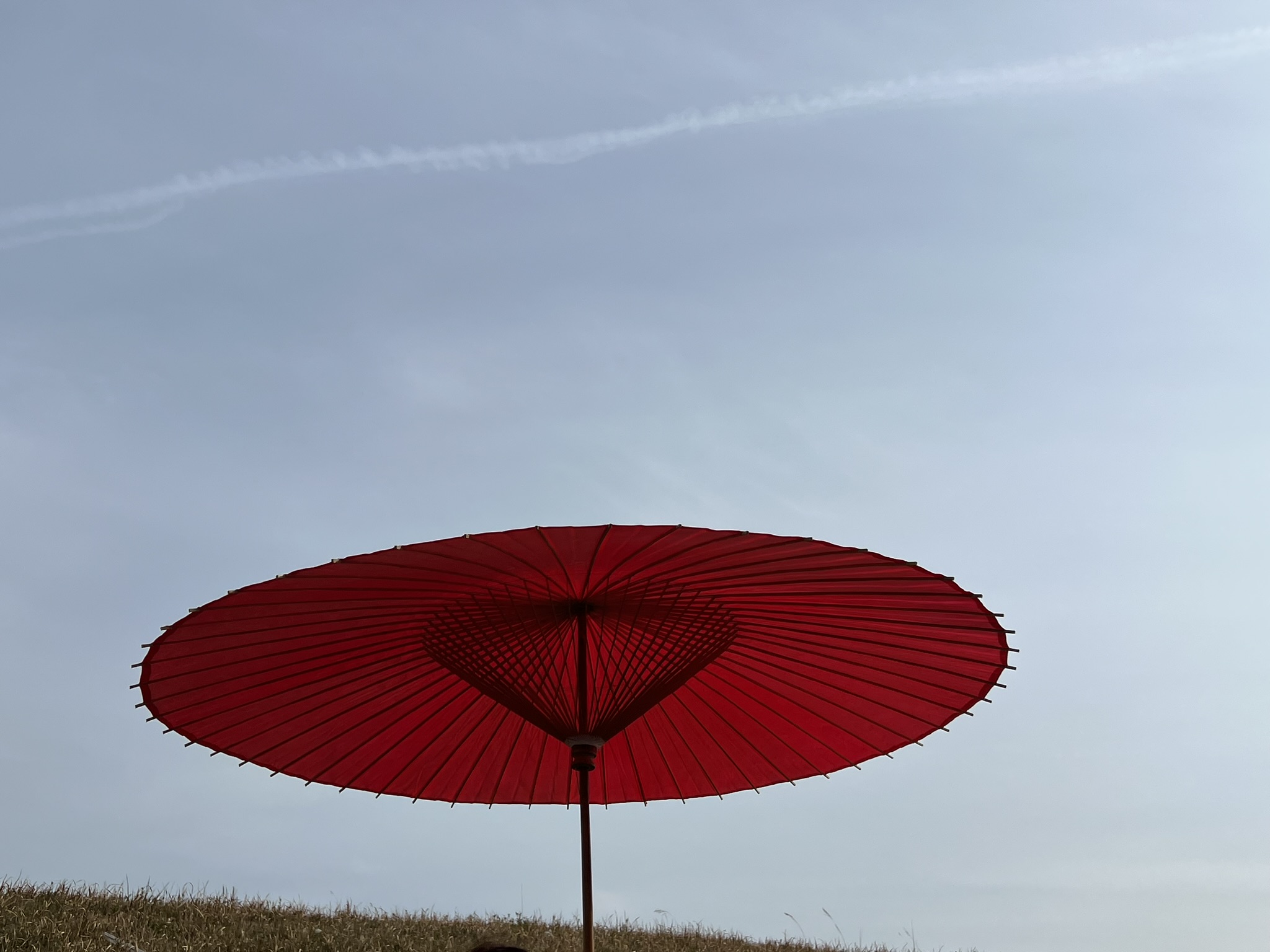 楽天市場】【野点傘】直径2m お茶会 茶道具 茶店 日本庭園 かさ 訳