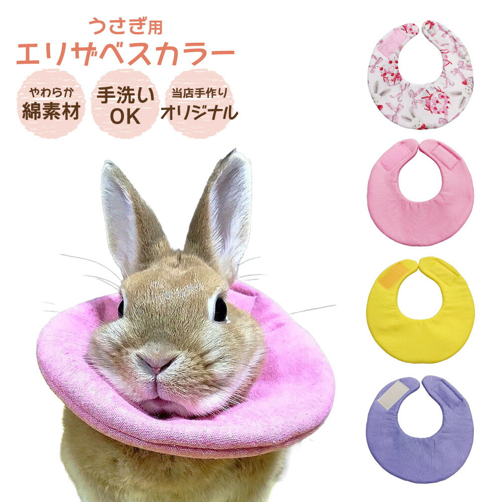 楽天市場】送料無料 メール便 うさぎ用エリザベスカラー 避妊 去勢