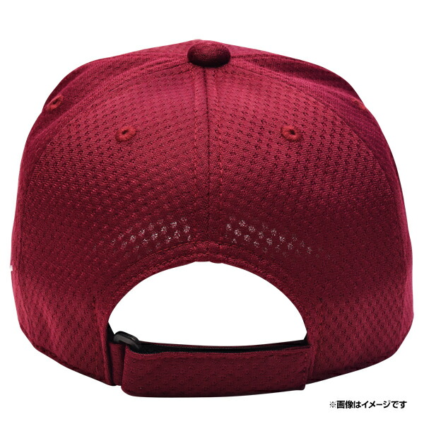 村林一輝 2024シーズン ミズノ プロモデル キャップ 帽子 村林一輝