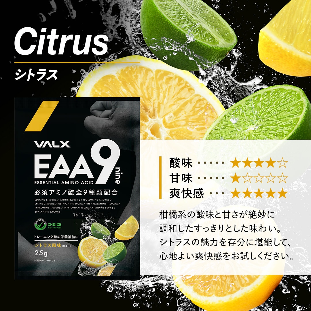 楽天24エクスプレス｜プロテイン トライアルセット VALX バルクス WPC