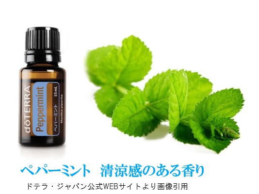 楽天市場】ドテラ アスリートキット ディープブルーラブ