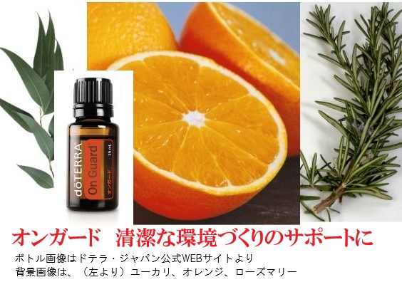 楽天市場】ドテラ オンガード フォーミングハンドウォッシュ （濃縮