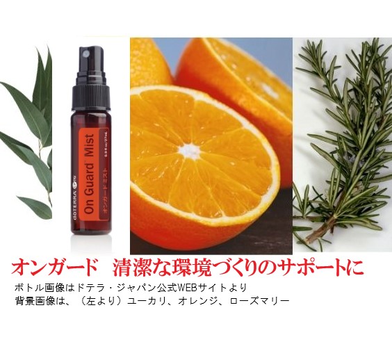 楽天市場】ドテラ アロマオイル 福袋 《スッキリ スーっと呼吸 セット